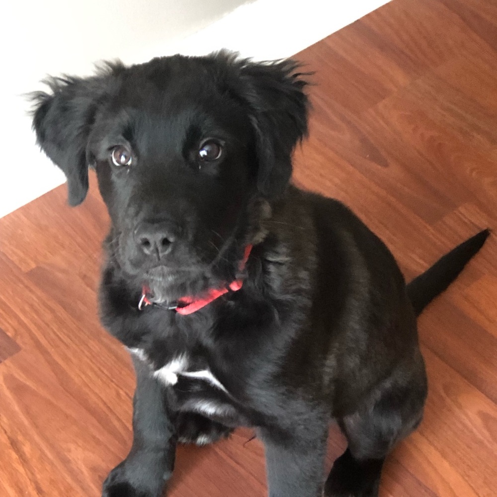 Meet your Posher, Laura